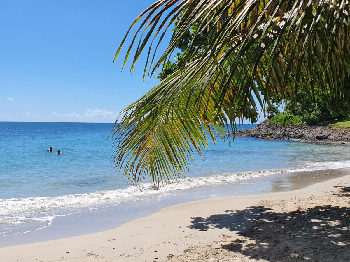 Ti Oasis Trinidad, Studio Vue Mer A Pierre & Vacances Sainte-Luce Zewnętrze zdjęcie