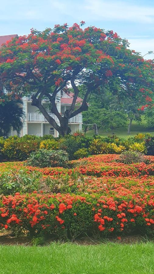 Ti Oasis Trinidad, Studio Vue Mer A Pierre & Vacances Sainte-Luce Zewnętrze zdjęcie