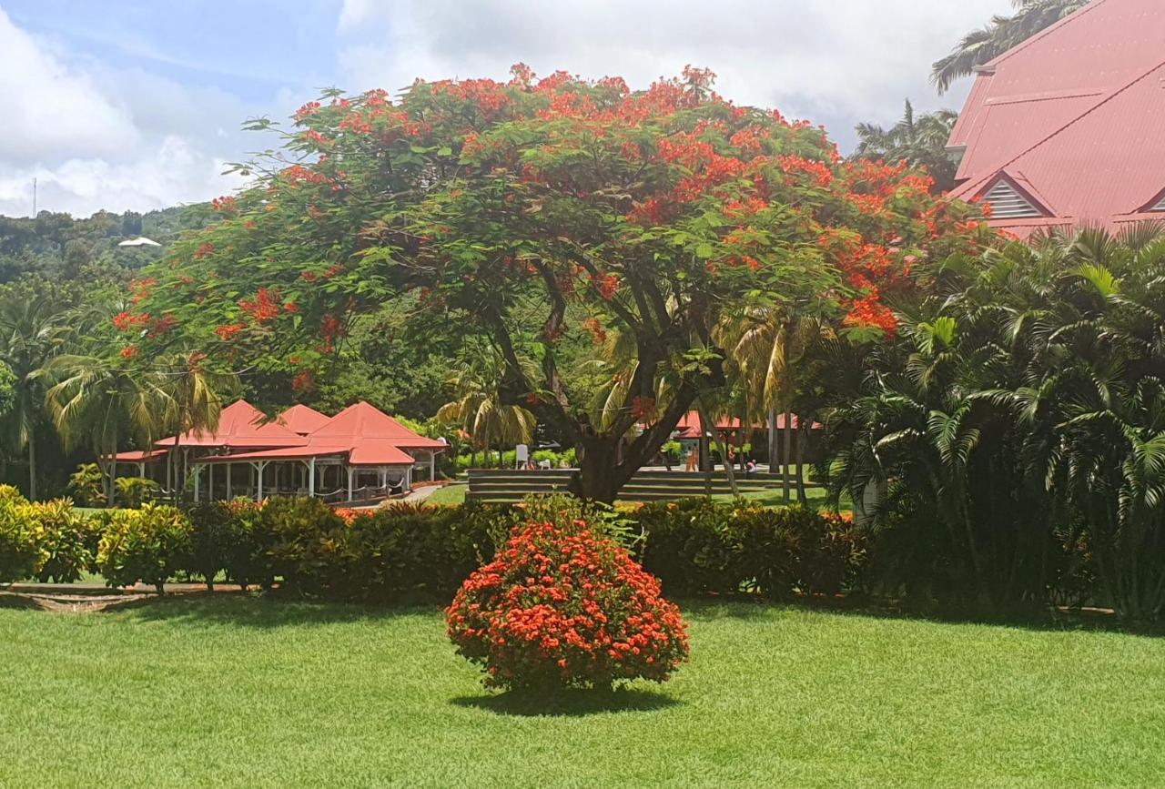 Ti Oasis Trinidad, Studio Vue Mer A Pierre & Vacances Sainte-Luce Zewnętrze zdjęcie