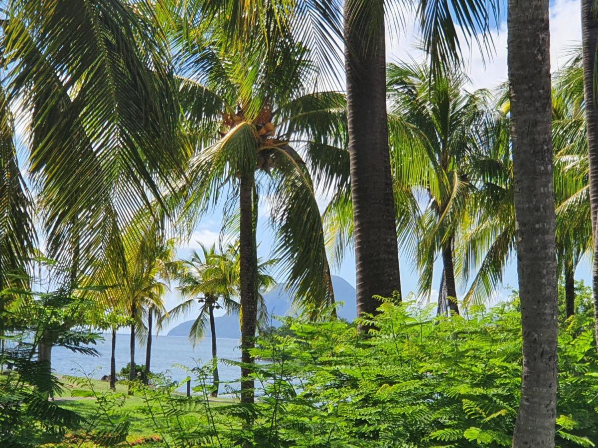 Ti Oasis Trinidad, Studio Vue Mer A Pierre & Vacances Sainte-Luce Zewnętrze zdjęcie